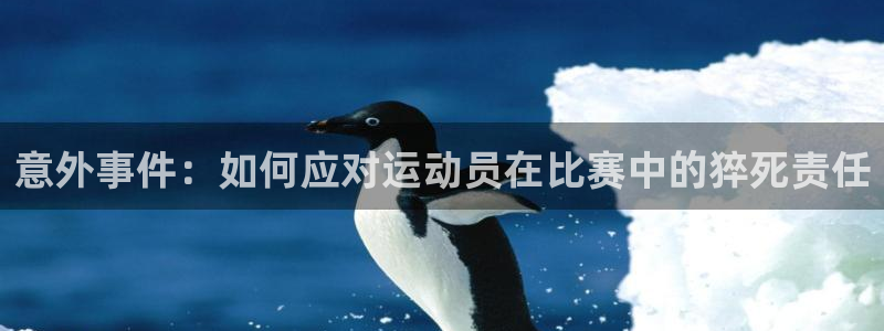 捷豹体育app是正规网站吗