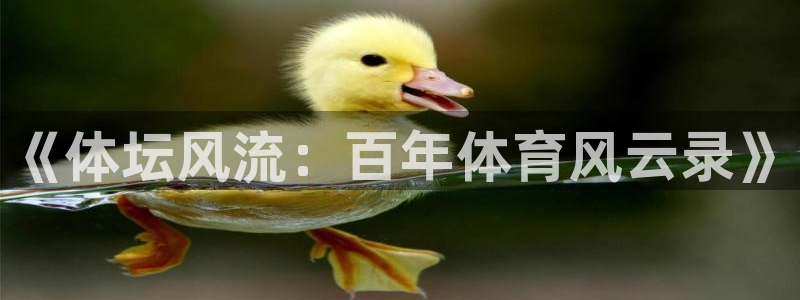 捷豹体育比分