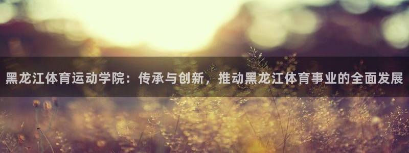 捷豹体育app是正规网站吗：黑龙江体育运动学院：传承与创新，推动黑龙江体育事业的全面发展