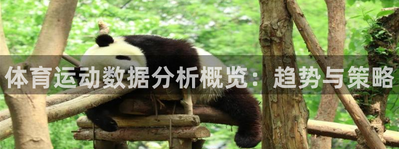 捷豹体育app官方下载：体育运动数据分析概览：趋势与策略